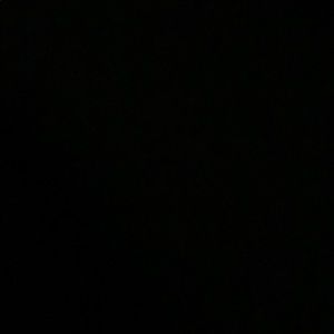 Meet your Posher, Casie